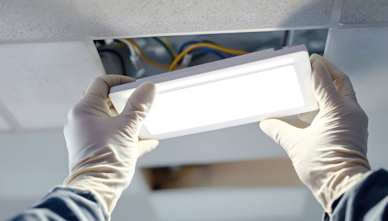 Indoor Lighting Trends In Florida